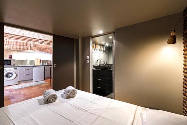 Ferienwohnung Duplex Climatise Dans Un Monument Historique Toulouse Exterior foto